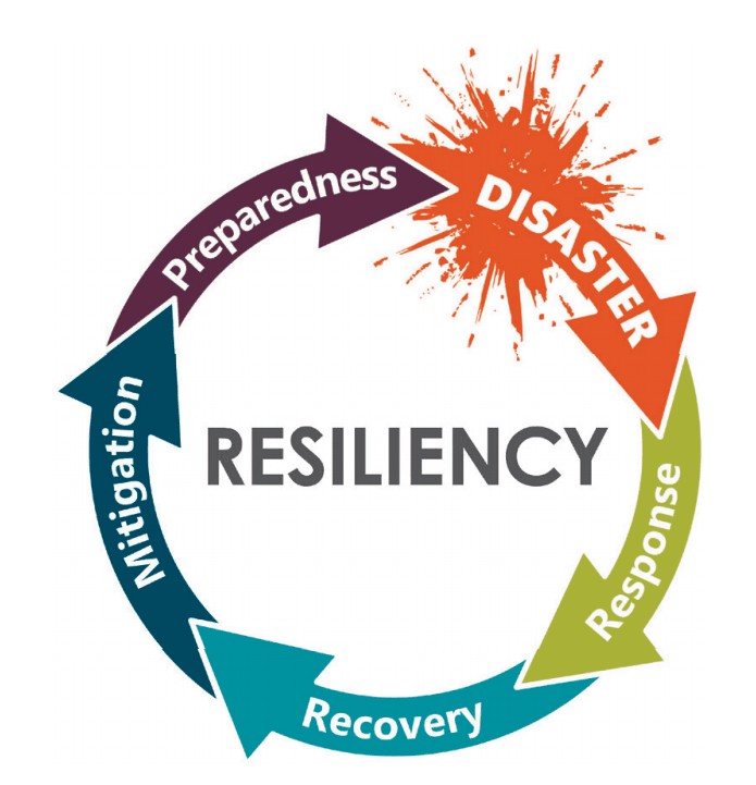 Resiliency image